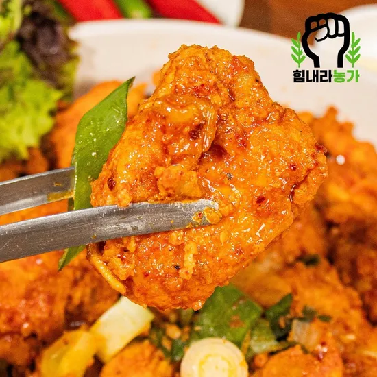 춘천 20년전통 순살 닭갈비 500g 2팩 간장/양념 선택