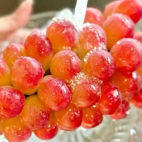 레드샤인 써니돌체 레드포도 1kg (2송이)