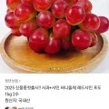 신품종 사과 레드샤인 포도 1kg