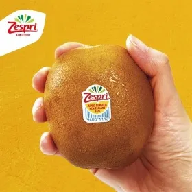 제스프리 썬 골드키위 슈퍼점보과 3.4kg 22개입