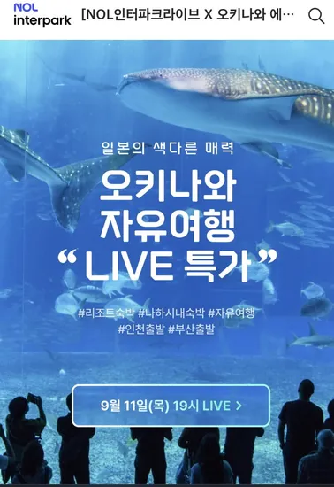 오키나와 3박 4일 에어텔 자유여행 패키지 60만원대 외 다양