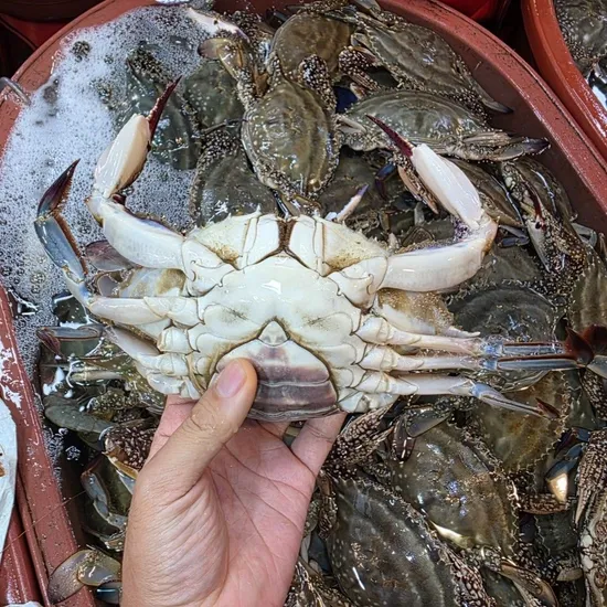 암수혼합 활 꽃게 3kg 빙장포장