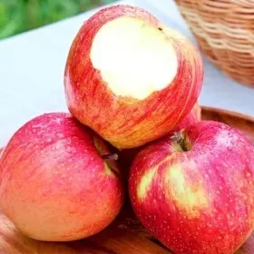 홍로 햇사과 가정용 소과 4kg (26-30과)