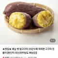 해남 햇 밤고구마 진율미 3kg