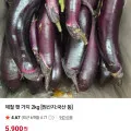 제철 햇가지 2kg