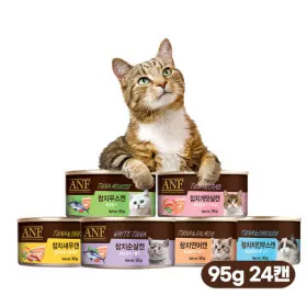 ANF 고양이캔 95g 24캔 습식 및 간식