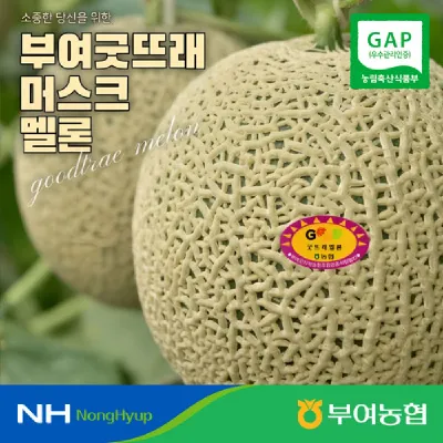 굿뜨래 멜론 4kg 내외 2수