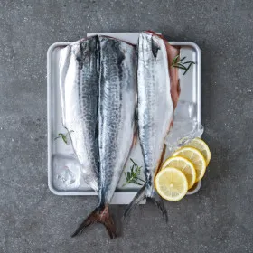 국내산 손질 삼치살 200g x 10팩