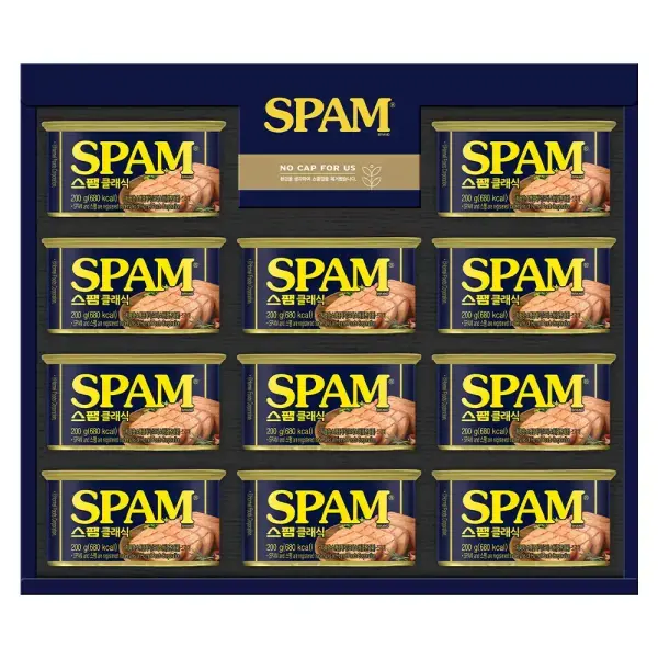 CJ 스팸 선물세트 11호 쇼핑백