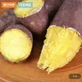국내산 세척 햇 밤고구마 특상 2kg