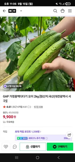 GAP 가정용백다가기오이 2kg
