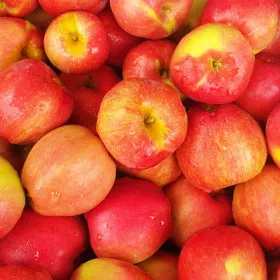 햇 홍로 사과 꼬마 흠과 4kg