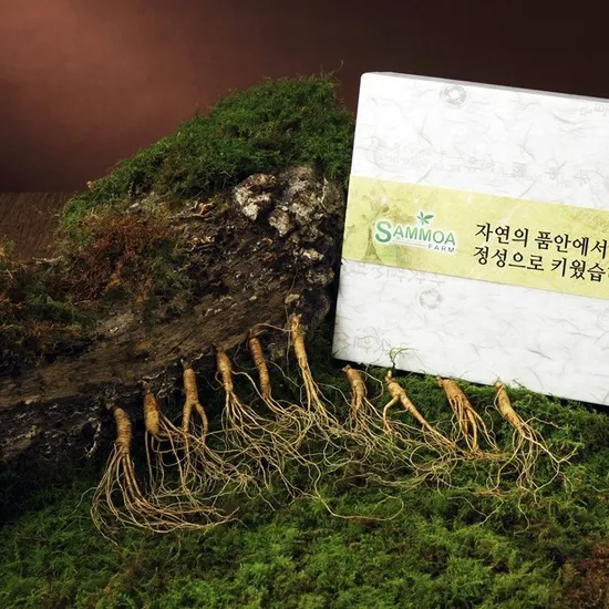 5-6년근 산양산삼 실속 10뿌리
