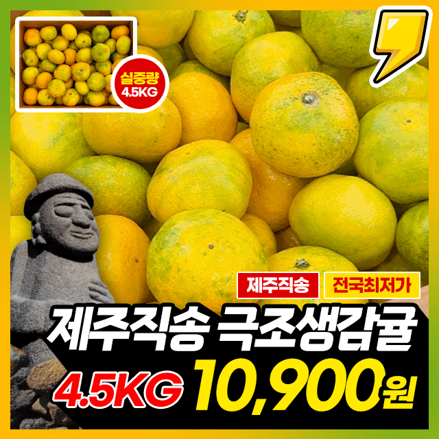 새콤달콤 제주 극조생 감귤 4.5kg
