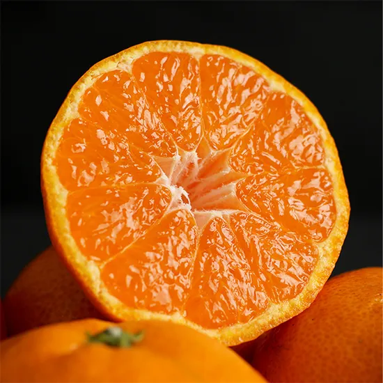 노지 감귤 2kg 중대과