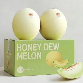 허니듀 멜론 선물세트 특대과 2.2kg X 2과