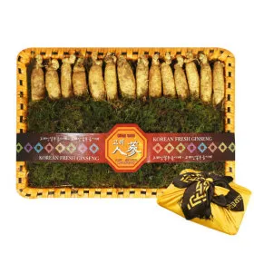 고려인삼 수삼 선물세트 1호 500g 13~17편