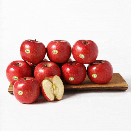 홍로 사과 5kg 15~17과