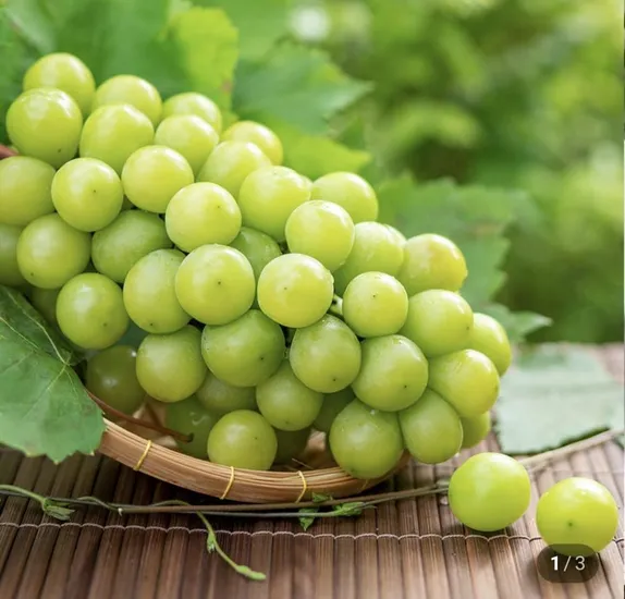 샤인머스켓 2kg 3수