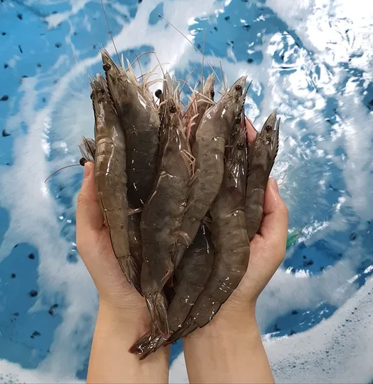 흰다리새우 1kg (25-29미내외)