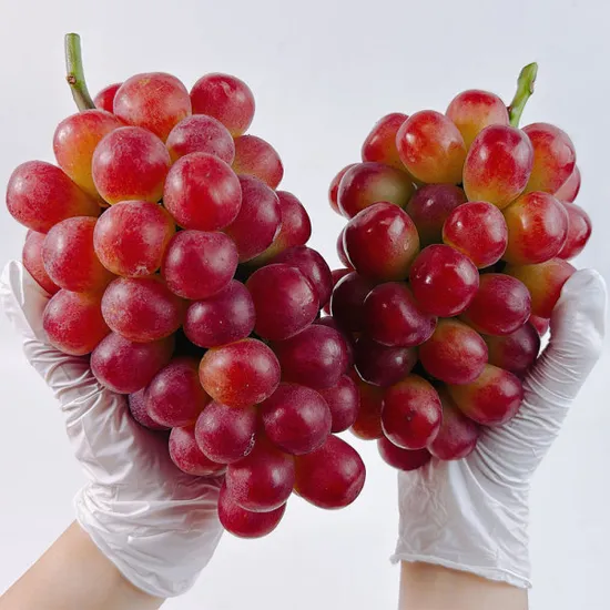 레드샤인머스켓 2kg