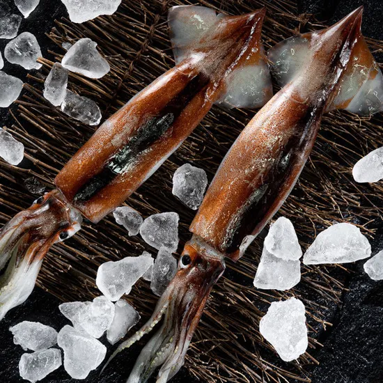 자연산 손질오징어 통 오징어 10미 1750g