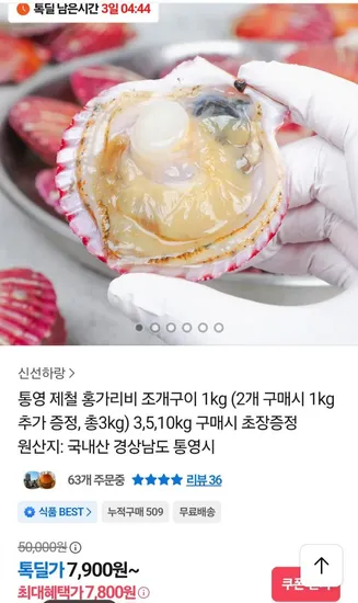 통영 제철 세척 홍가리비 3kg 초장