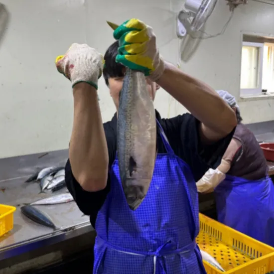 국내산 부산 손질 자반 고등어 특대 2마리 진공포장 37cm 이상 간고등어