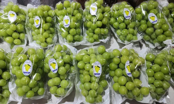 샤인머스켓 2kg 3-4수