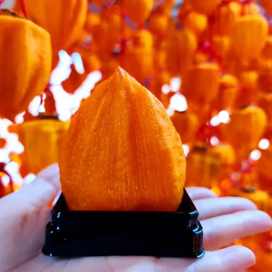 대봉 반건시 곶감 6과 왕왕특 선물세트