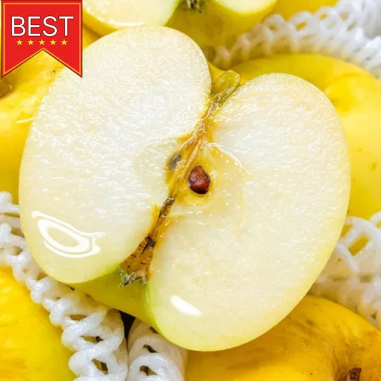 시나노골드 가정용 중과 3kg