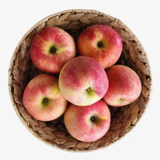 경북사과 신품종 아리수 사과 가정용 중소과 3kg