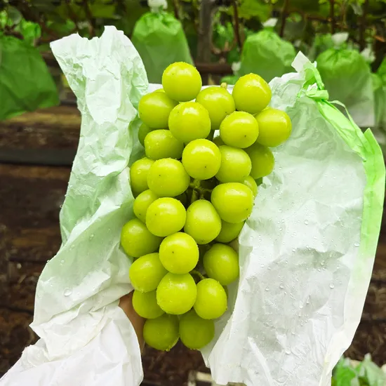 [브랜드] [제품명] [모델명] [색상] [사이즈] [수량] [가격]