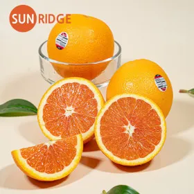 고당도 카라카라 오렌지 중대과 7kg