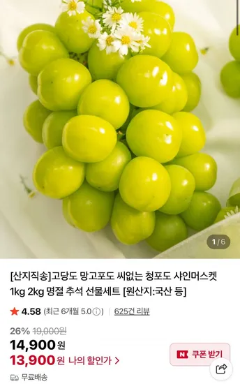 샤인머스캣 4~5수 4kg