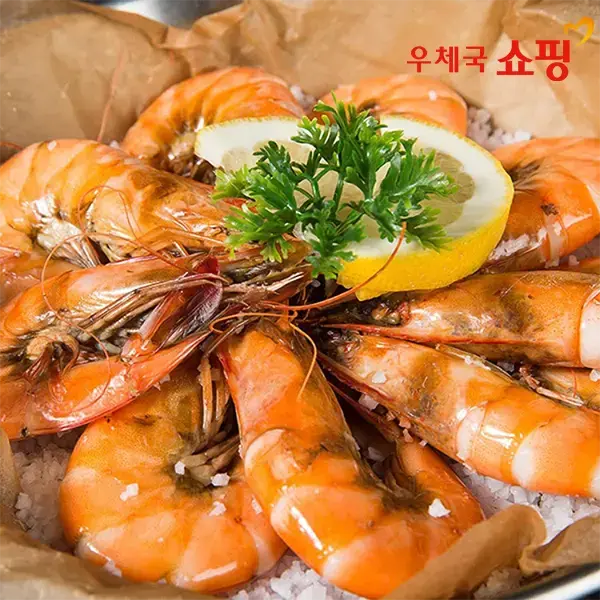 신안 햇 새우 1kg