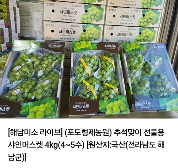샤인머스켓 4kg 4~수