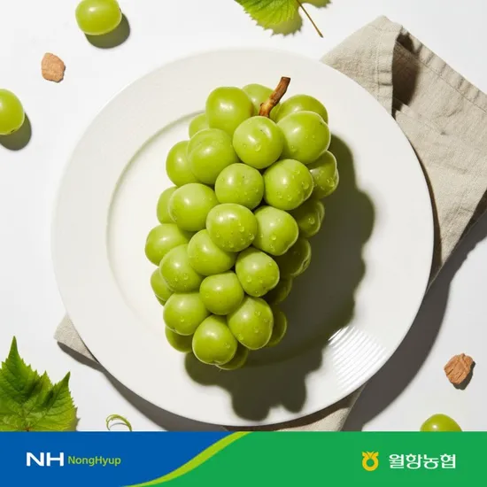 월항농협 고당도 샤인머스켓 특품 2kg (3-4수)