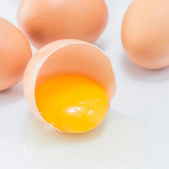 무항생제 유정란 40구