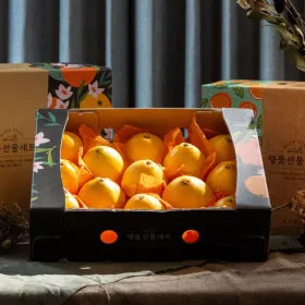 제주 황금향 2.6kg 3-18과 선물세트