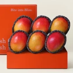 후레쉬망고 애플망고 선물세트 4~6과