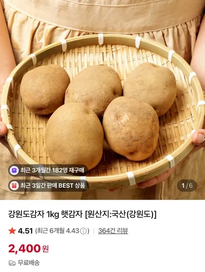 강원도 햇감자 2.4kg