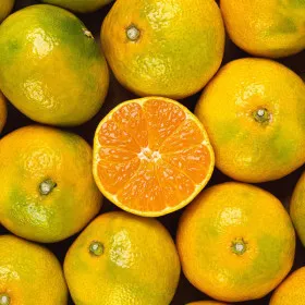 서귀포 노지감귤 로얄과 S-M 4.5kg