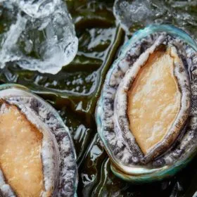 완도 활전복 1kg