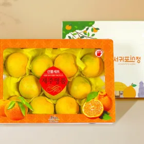 제주 황금향 로얄과 선물세트 2.5kg