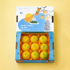 제주 고당도 하우스 황금향 선물세트 2kg 로얄과 8-13과