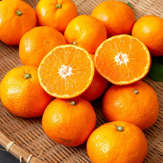 제주감귤 M-L 2.5kg 1박스