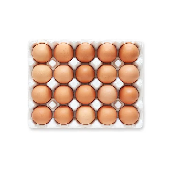 무항생제 초란 20구 1팩