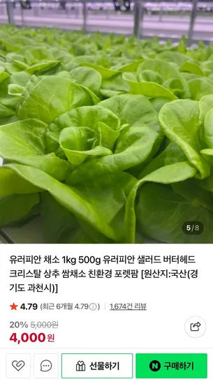 유러피안 샐러드 채소 2.5kg