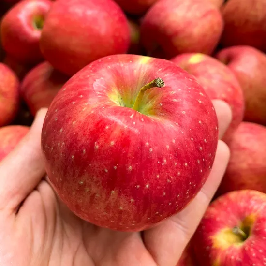 25년 햇 홍로사과 소과 1.5kg